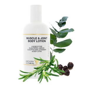 MUSCLE & JOINT BODY LOTION