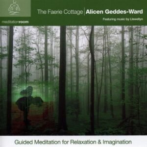 The Faerie Cottage (Meditation Series) Audio CD – Audiobook, 1 Jan 2000